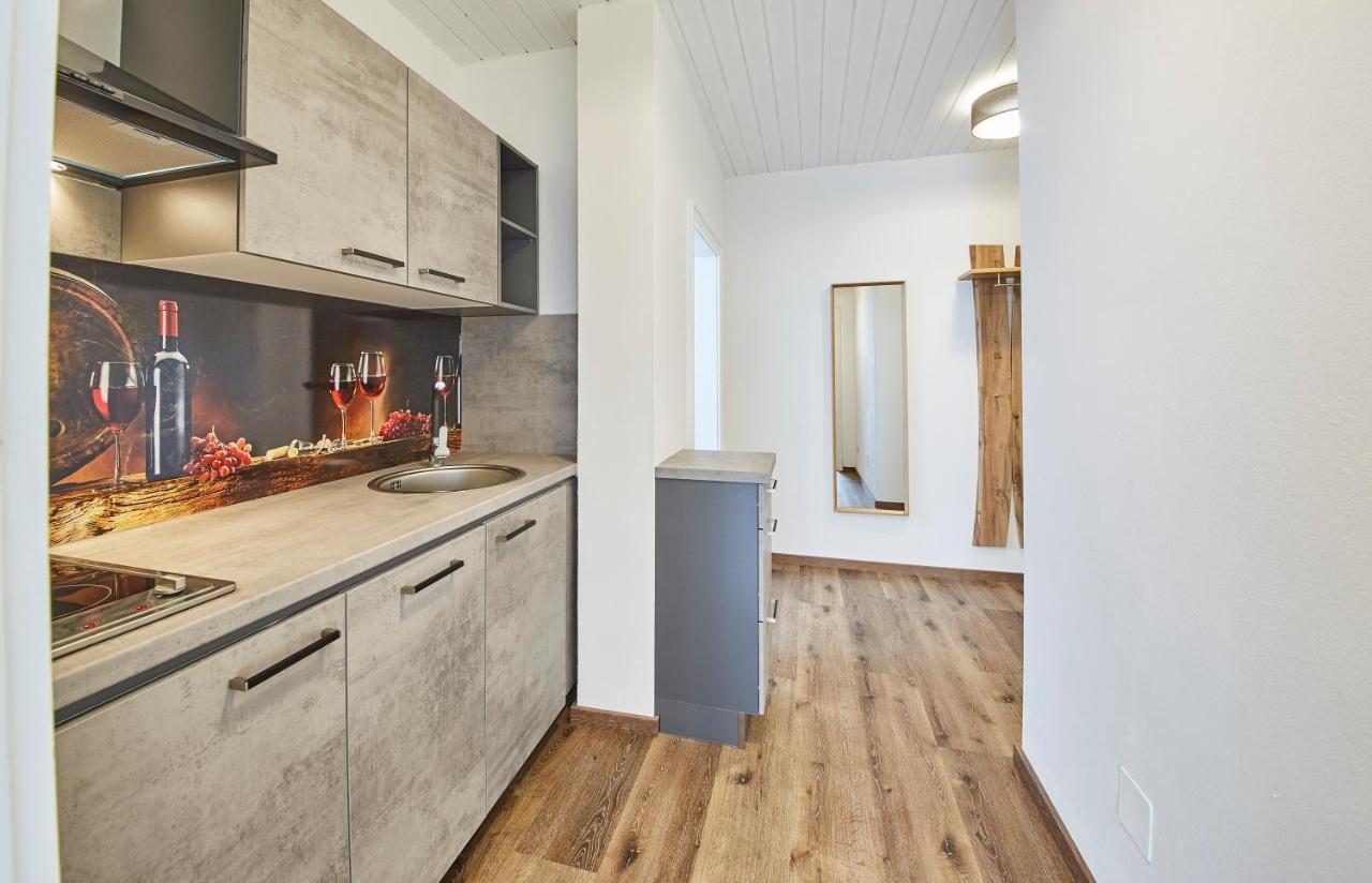 Appartements Haus Alexander Saalbach-Hinterglemm Kültér fotó